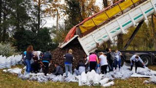 Donan 25 toneladas de papas para La Pampa