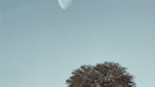 Luna creciente en Santa Rosa