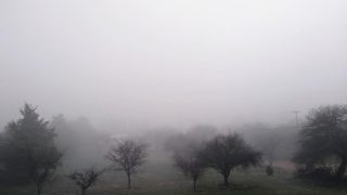Alerta por bancos de niebla para La Pampa