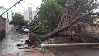 Fuerte tormenta y destrozos en Santa Rosa y Toay