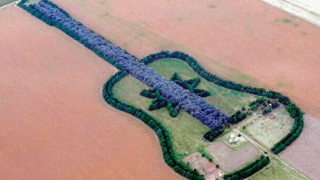 Una guitarra de cipreses y eucaliptos en plena pampa