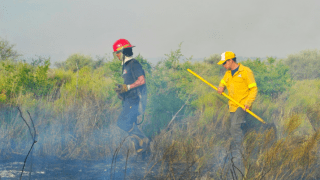 La Pampa. Incendios forestales en baja: 37.254 hectáreas en la temporada