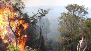 Incendios forestales, ¿qué sucede en Misiones?