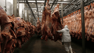 La invasión rusa y los efectos sobre el mercado mundial de carnes