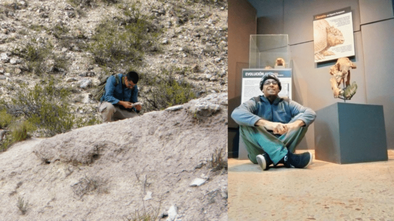 La Pampa prehistórica: cómo proceder ante el hallazgo de un fósil