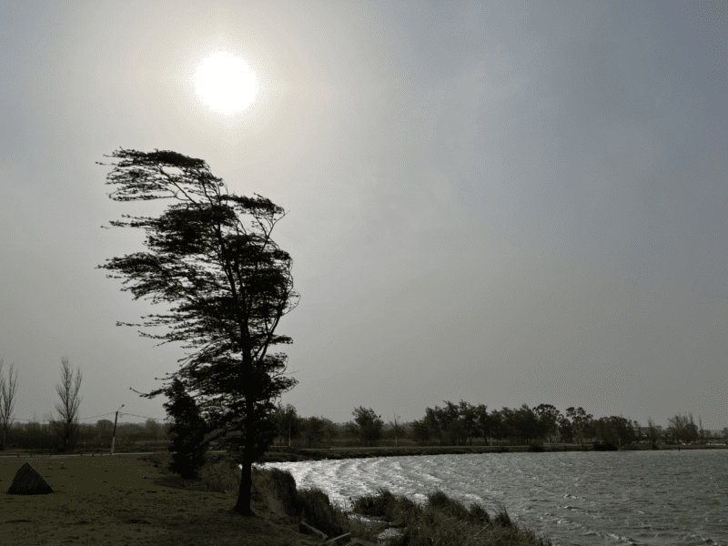 La Pampa: alerta amarilla por viento