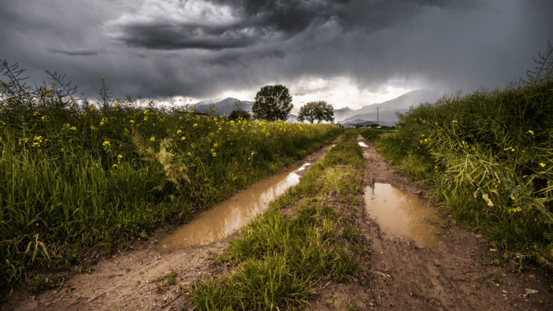 Las lluvias en todas las localidades de La Pampa
