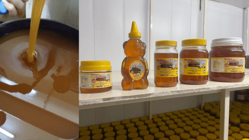 Néctar del Monte, la miel del caldenar pampeano