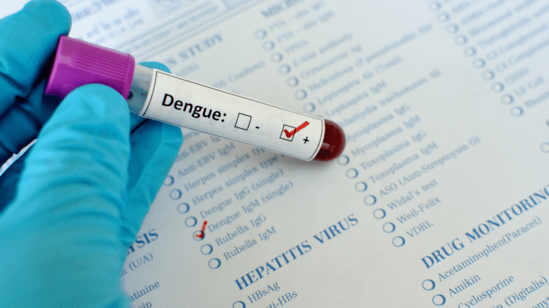 Brote histórico de dengue: 79 muertos y más de 120 mil casos