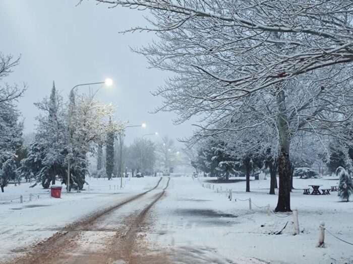 Y un día llegó la nieve