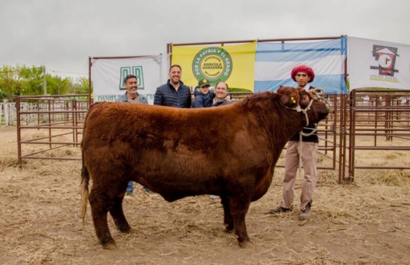 Ingresó el primer ejemplar a La Rural