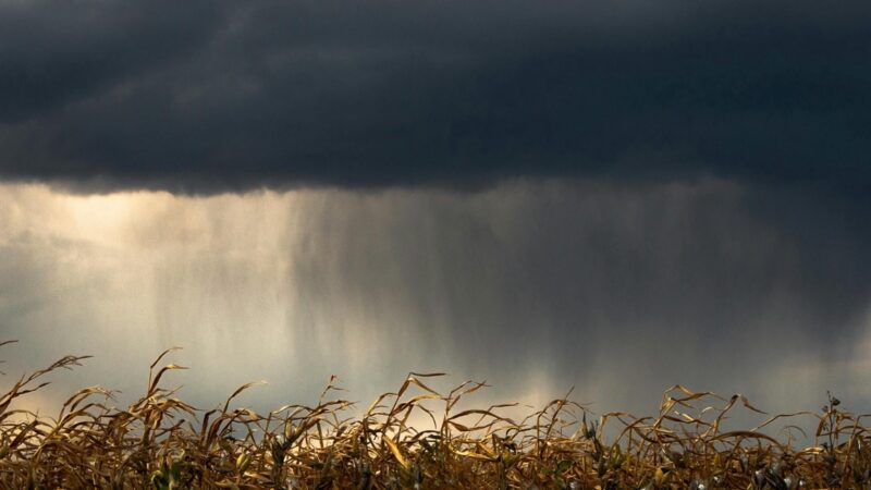 Más registros de lluvias en La Pampa