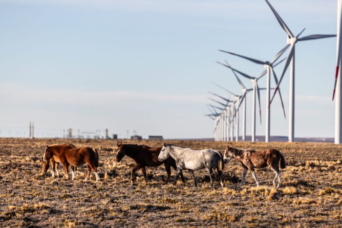 PCR presentó su segundo Reporte de Sustentabilidad